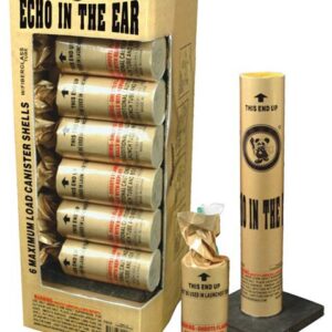 Echo in the Ear