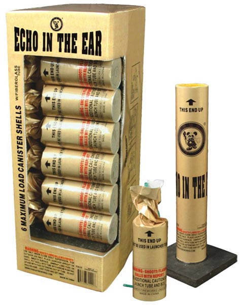Echo in the Ear