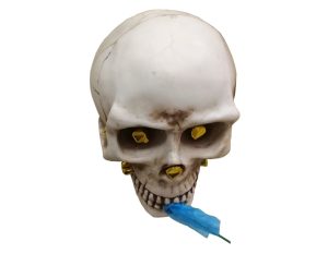 Skull